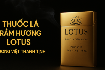 Thuốc Lá Trầm Hương Lotus | Hương Trầm Tự Nhiên – Thanh Tịnh & Sang Trọng | Giá Mới Nhất 2025