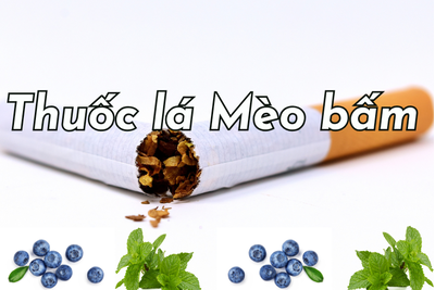 Mèo bấm là gì? Các loại thuốc lá mèo bấm ở Việt Nam hiện nay