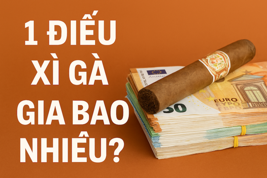 1 Điếu Xì Gà Giá Bao Nhiêu? Bảng Giá Chuẩn 2025 & Cách Tránh Mua Hàng Giả