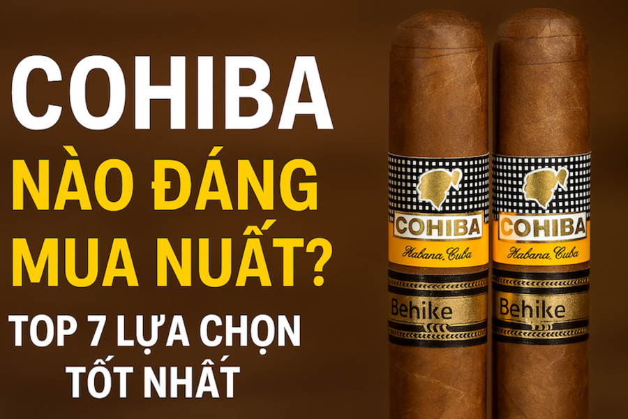 Cohiba Nào Đáng Mua Nhất? Top 7 Lựa Chọn Tốt Nhất 2025