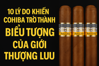 10 Lý Do Khiến Cohiba Trở Thành Biểu Tượng Của Giới Thượng Lưu – Đẳng Cấp Tinh Tế