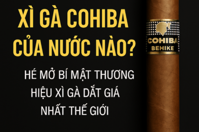 Xì Gà Cohiba Của Nước Nào? Giải Mã Thương Hiệu Xì Gà Đỉnh Cao Cuba