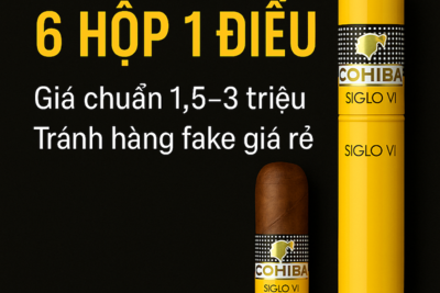 Xì Gà Siglo 6 Hộp 1 Điếu – Giá Chuẩn 1.5–3 Triệu, Tránh Hàng Fake Giá Rẻ
