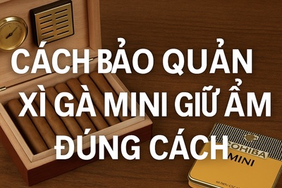 Xì Gà Điếu Nhỏ – Dòng Cigar Tiện Lợi, Dễ Hút & Đáng Mua Nhất 2025