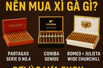 Có 8–10 Triệu Nên Mua Xì Gà Gì? Gợi Ý Partagas D4, Cohiba Genios, Romeo Wide Churchill