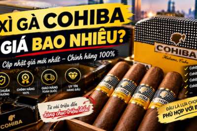 Xì Gà Cohiba Giá Bao Nhiêu? Bảng Giá Mới Nhất 2026