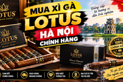 Mua Xì Gà Lotus Hà Nội Chính Hãng Hà Nội