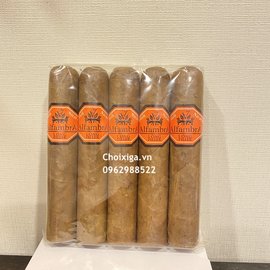 Xì gà Alfambra Long Filler - Pack 5 điếu