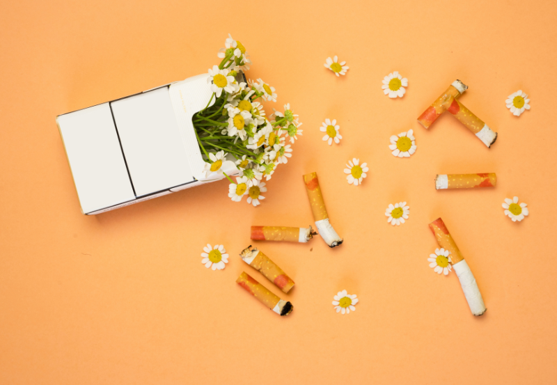 1 cây thuốc bao nhiêu gói