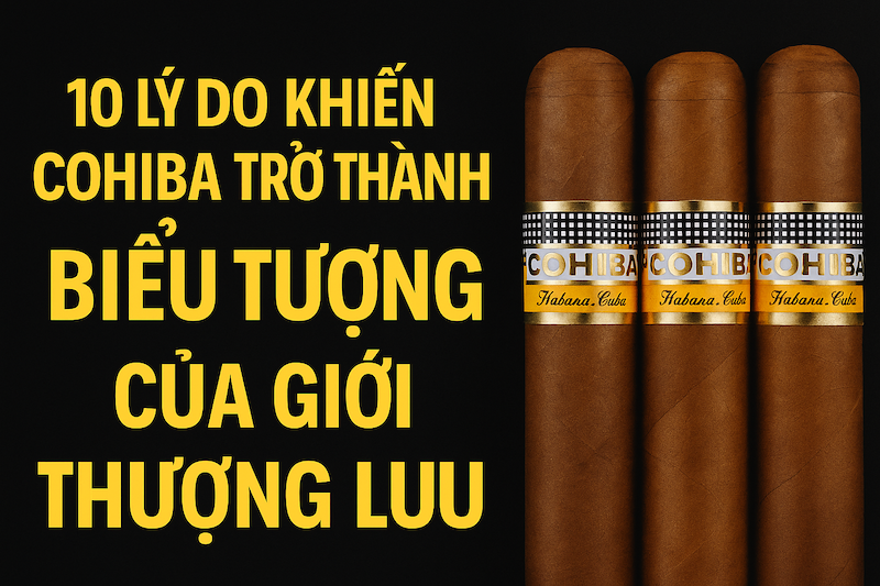 10 Lý Do Khiến Cohiba Trở Thành Biểu Tượng Của Giới Thượng Lưu – Đẳng Cấp Tinh Tế