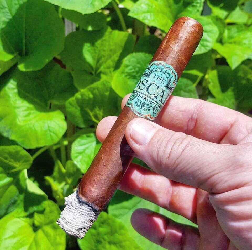 Xì gà The Oscar Habanos - Hộp 11 điếu