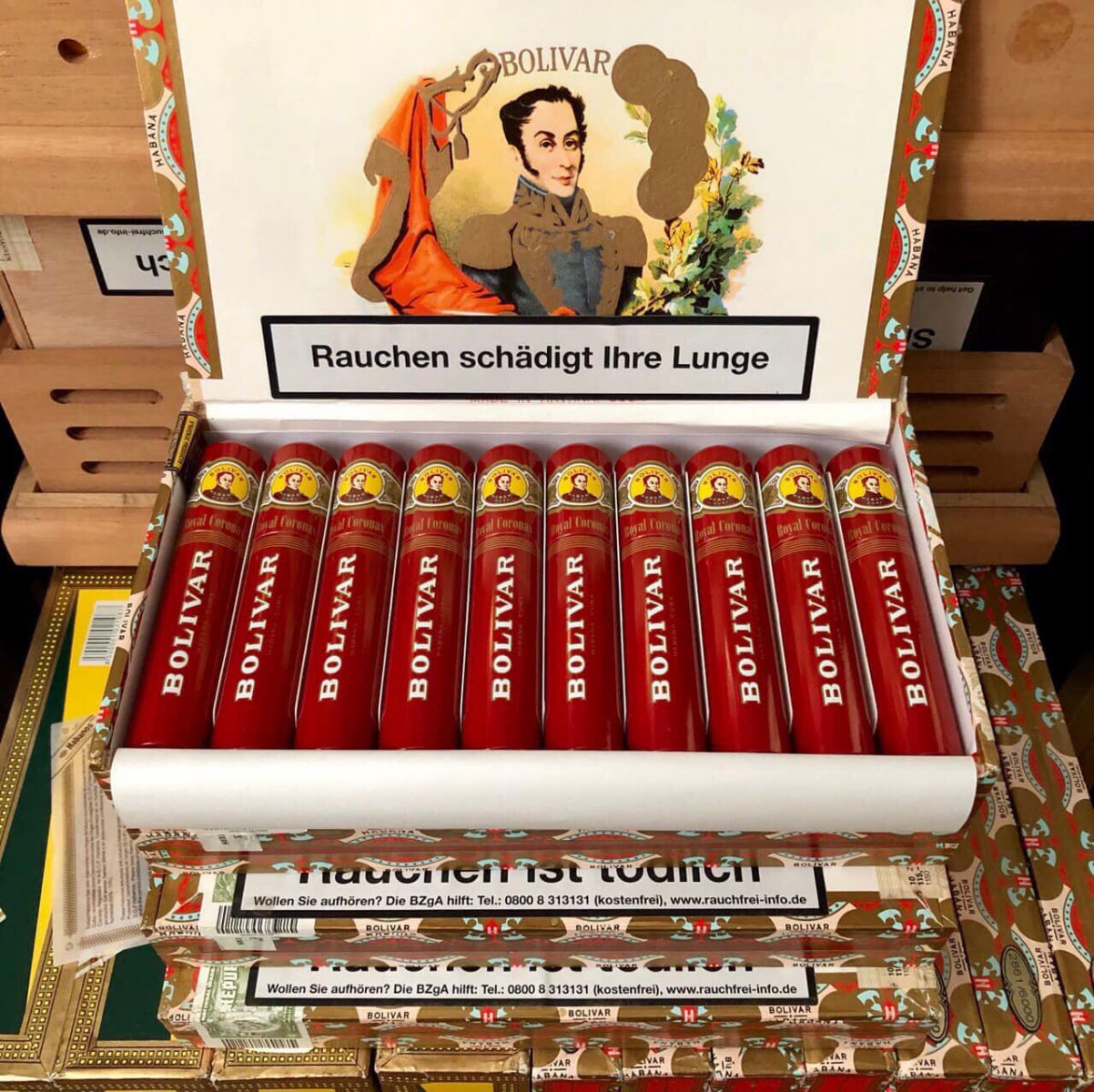 Xì gà Bolivar Royal Coronas Tubos - Hộp 10 điếu