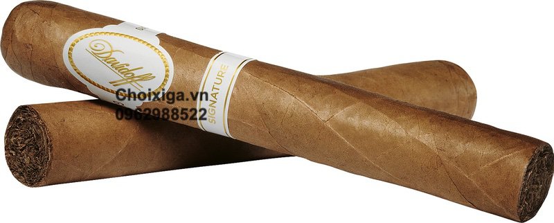 Xì gà Davidoff Signature Toro - Hộp 25 điếu