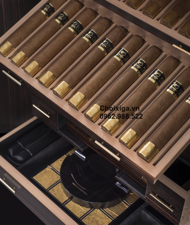Xì gà Cohiba Raritäten Aniversario 50th Anniversary Humidor