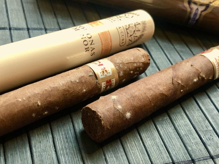 Cách xử lí xì gà bị mốc hiệu quả đơn giản