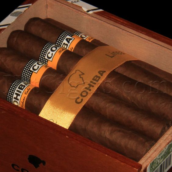 Gợi ý dòng xì gà cohiba siglo bao 5 điếu nhỏ gọn cho người mới