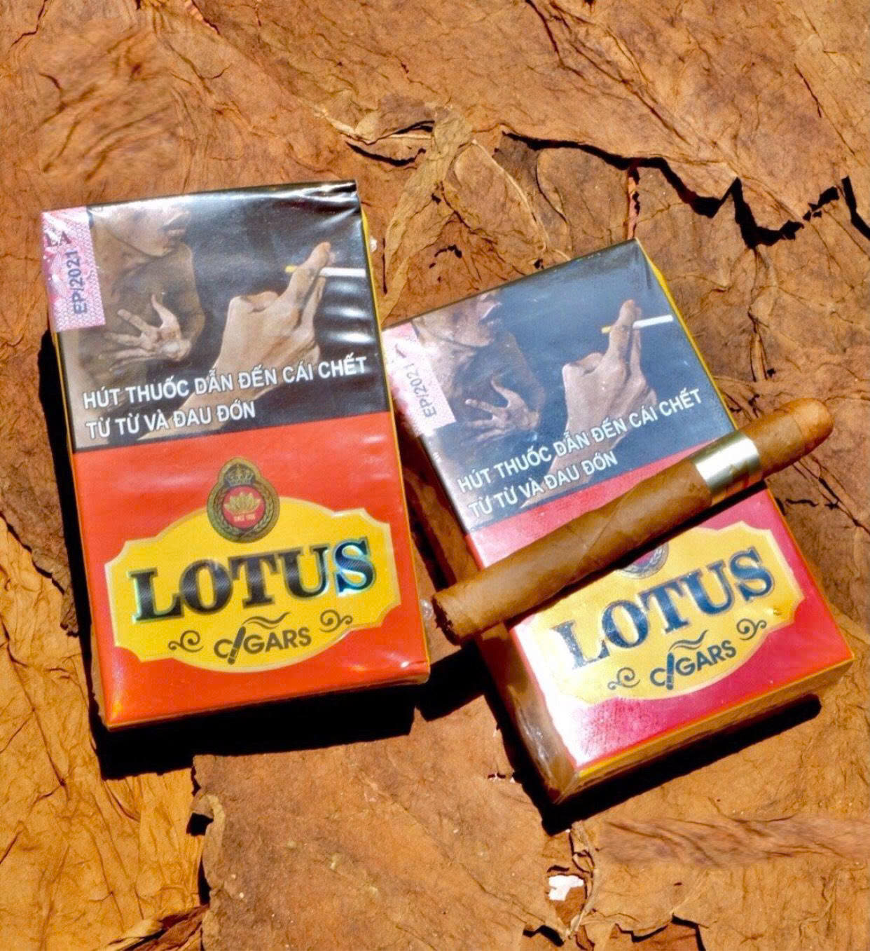 Xì Gà Lotus Short - Hộp 10 điếu