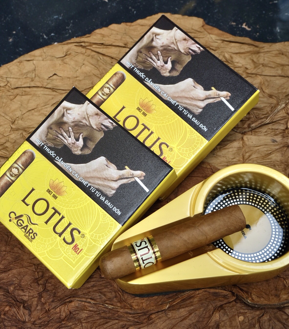 Xì Gà Lotus N01 - Hộp 5 điếu