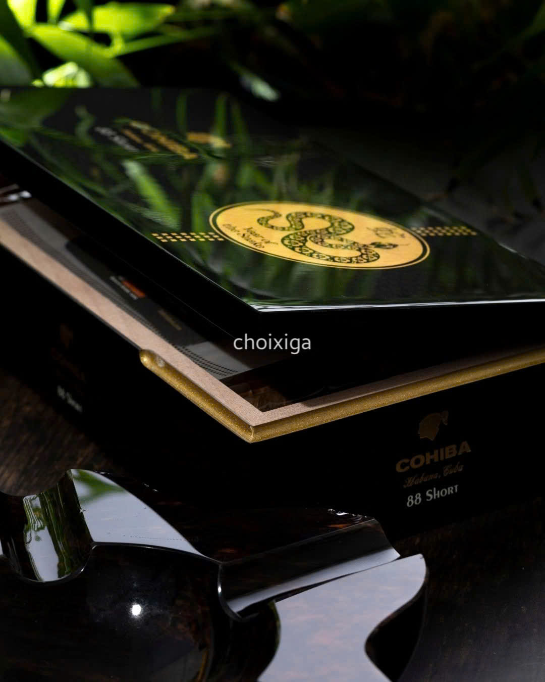 Xì gà Cohiba Short 88 Year Of The Snake