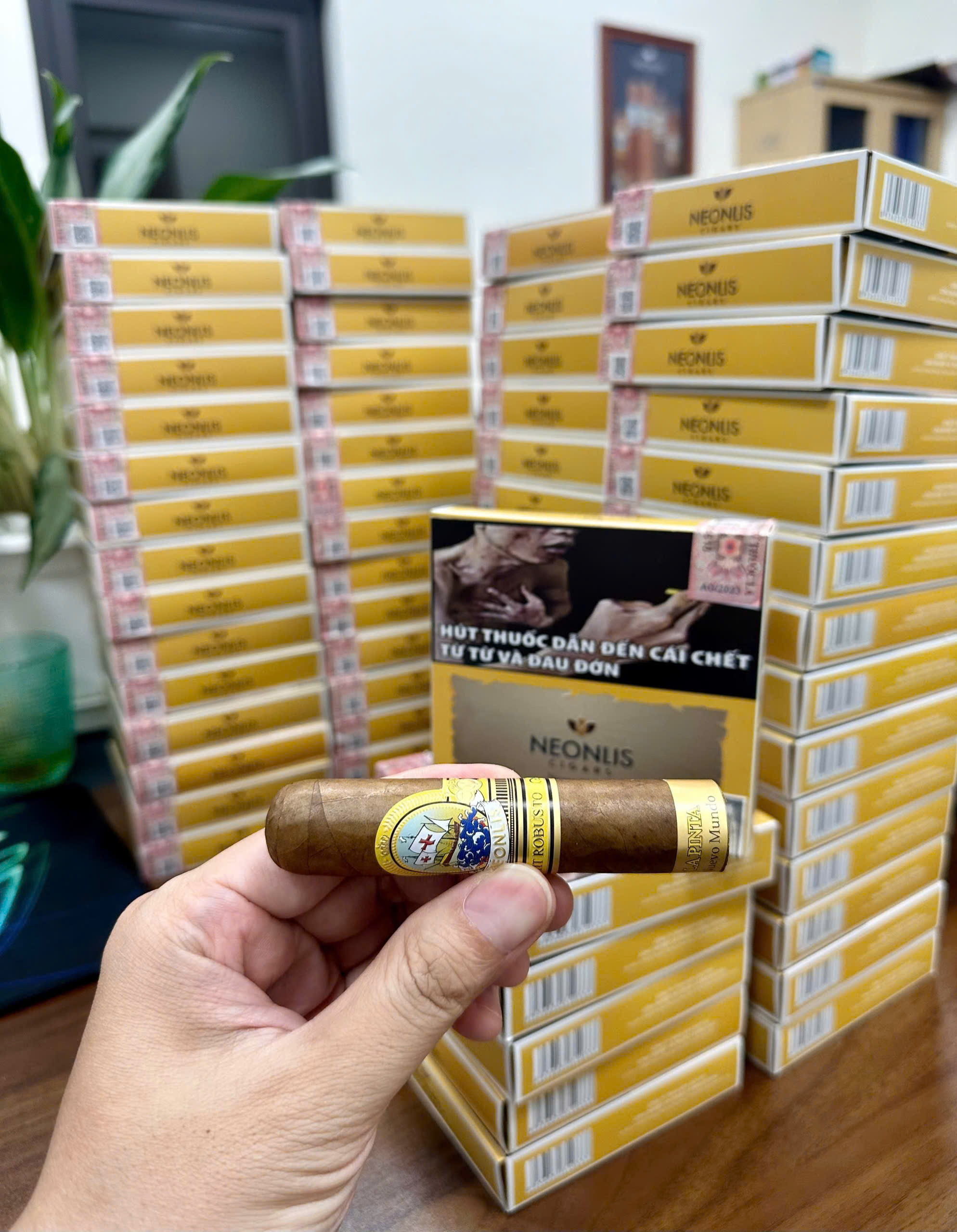 Xì Gà Neonlis Nuevo Mundo La Pinta - Hộp 5 điếu