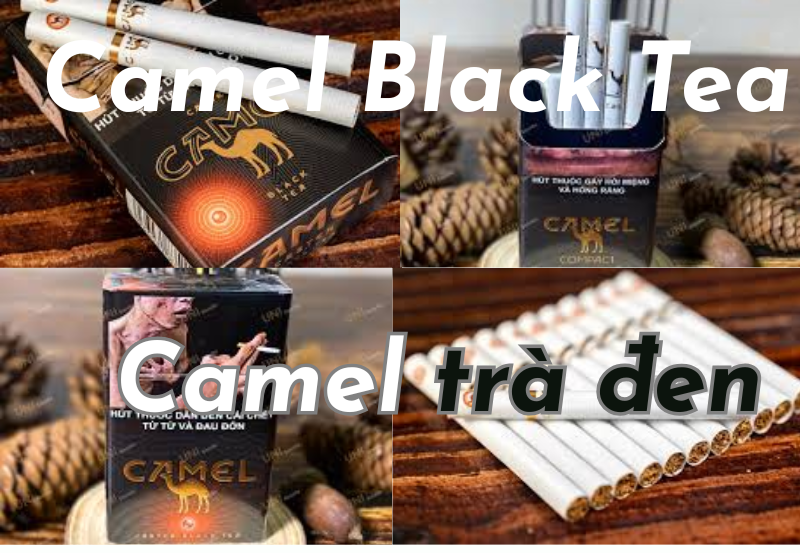 camel black tea