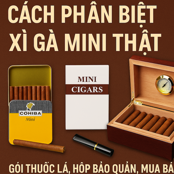 Hướng Dẫn Cách Phân Biệt Xì Gà Mini Thật – Bí Quyết Dành Cho Người Mới Chơi