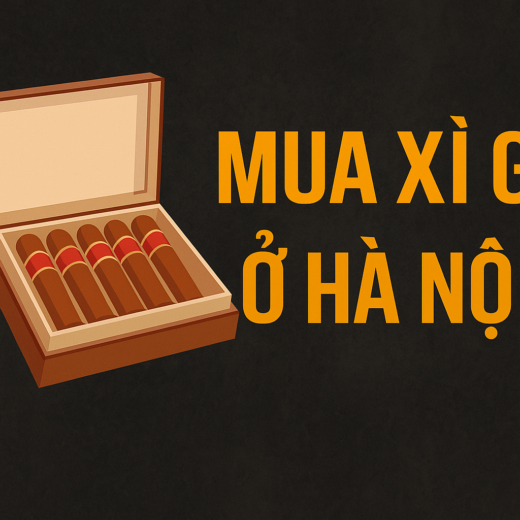 Mua Xì Gà Ở Hà Nội: Địa Chỉ Uy Tín, Kinh Nghiệm Và Cảnh Báo Cho Người Mới