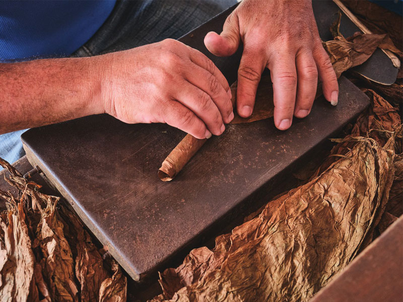 10 Điều Mọi Người Hút Xì Gà Nên Biết