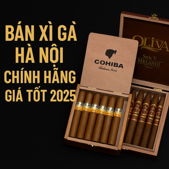 Xì Gà Hà Nội – Mua Xì Gà Chính Hãng Uy Tín | Giá Tốt Nhất 2025