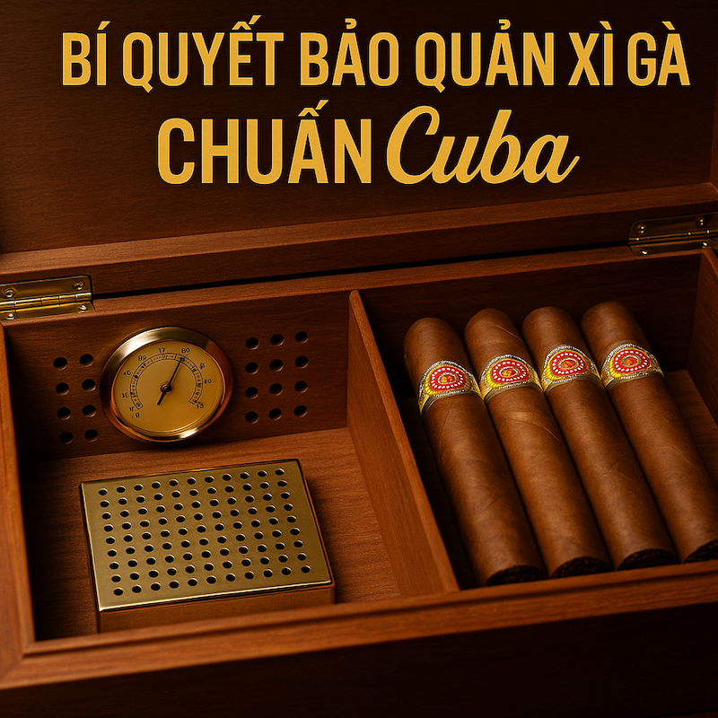 Hộp Bảo Quản Xì Gà – Cách Sử Dụng, Hướng Dẫn Và Top Mẫu Hộp Giá Rẻ, Mini 2025