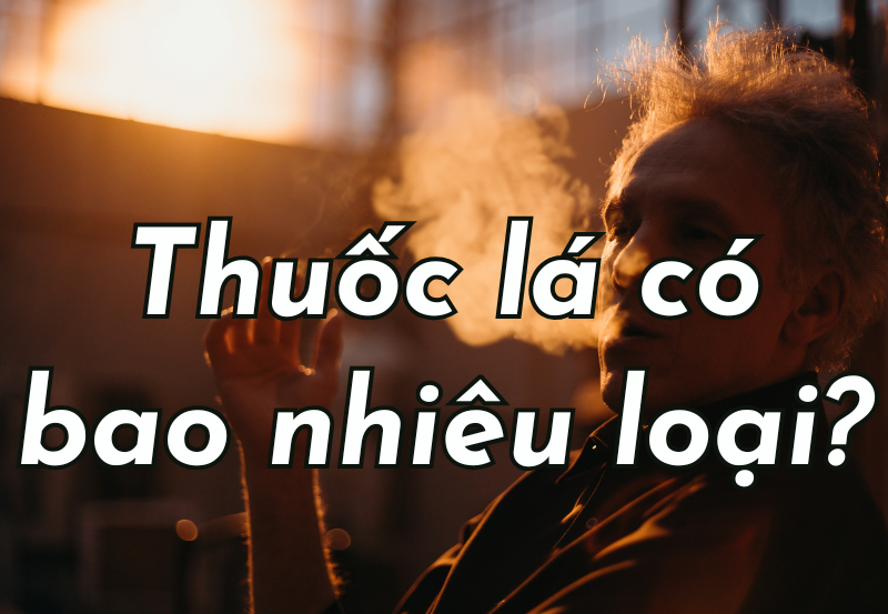 các loại thuốc lá