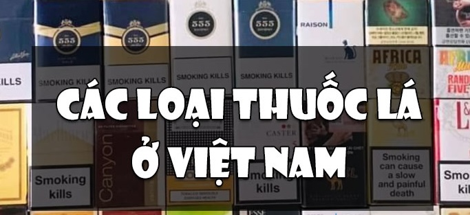 Khám Phá Các Loại Thuốc Lá Phổ Biến Nhất Ở Việt Nam: Truyền Thống và Hiện Đại