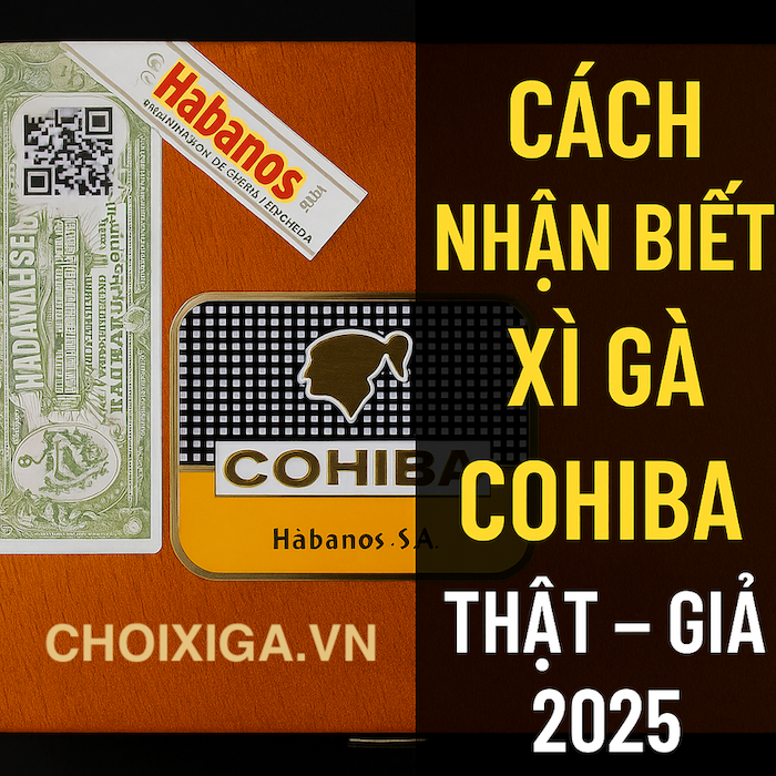 Cách Nhận Biết Xì Gà Cohiba Thật – Giả Chính Xác 100% | Hướng Dẫn 2025