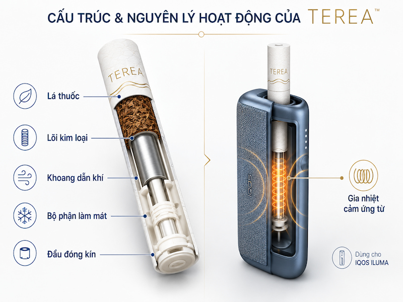 ấu tạo thanh TEREA và nguyên lý gia nhiệt cảm ứng của IQOS ILUMA