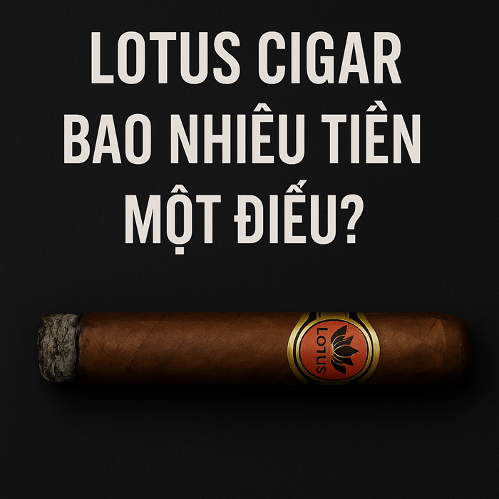Lotus Cigar Bao Nhiêu Tiền Một Điếu? Giá Chuẩn & Địa Chỉ Uy Tín