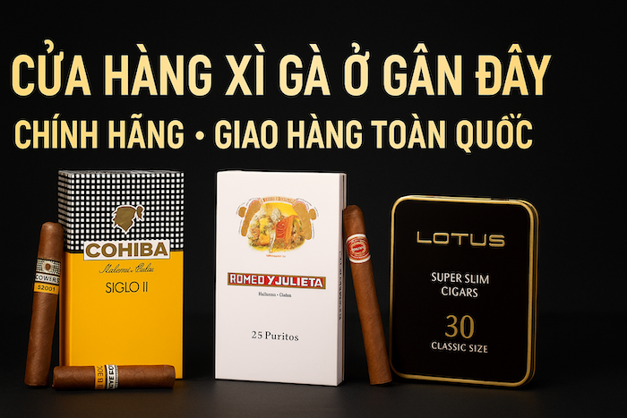 Cửa Hàng Xì Gà Ở Gần Đây | Mua Xì Gà Chính Hãng – Giao Hàng Hà Nội & TP.HCM