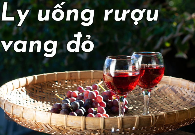 ly uống rượu vang đỏ