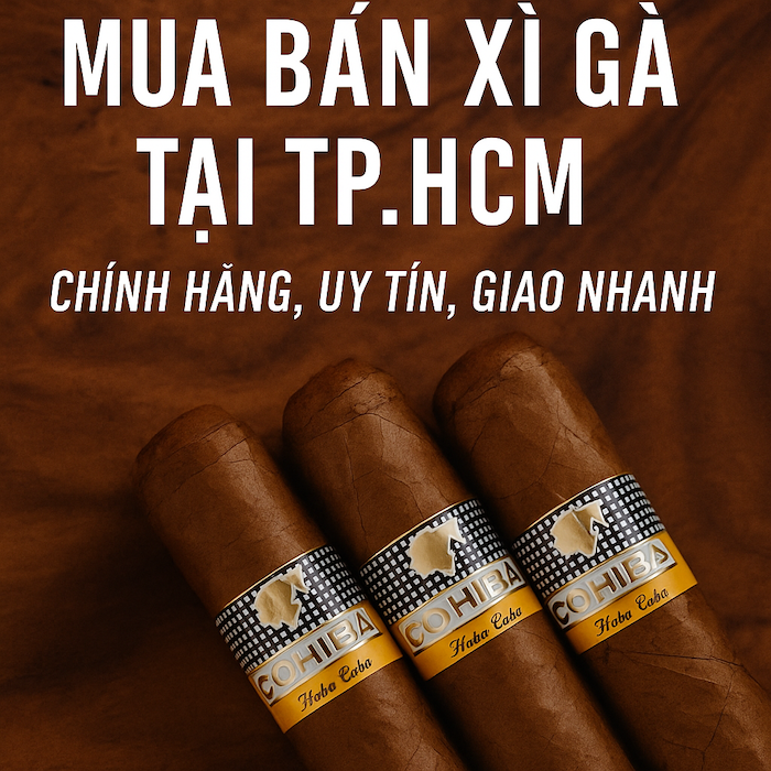 Mua Bán Xì Gà (Cigar) Tại TP.HCM – Chính Hãng, Uy Tín, Giao Nhanh Toàn Thành Phố