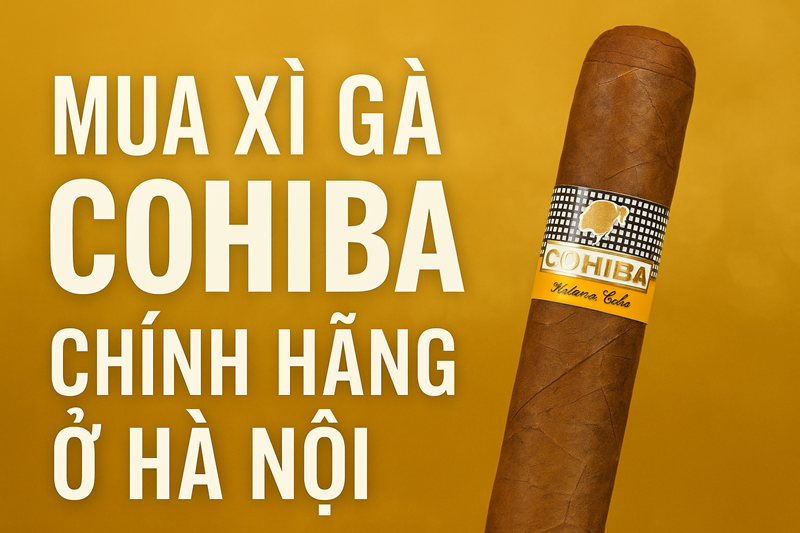 Mua Xì Gà Cohiba Chính Hãng Ở Hà Nội – Địa Chỉ Uy Tín Cho Người Yêu Cigar