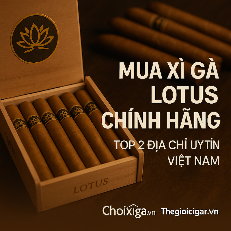Mua Xì Gà Lotus Chính Hãng Ở Đâu | Top 2 Địa Chỉ Uy Tín Nhất Việt Nam 2025