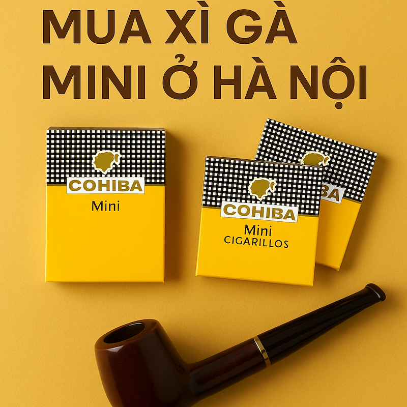 Mua Xì Gà Mini Ở Hà Nội – Uy Tín, Chính Hãng, Giao Nhanh Toàn Thành Phố