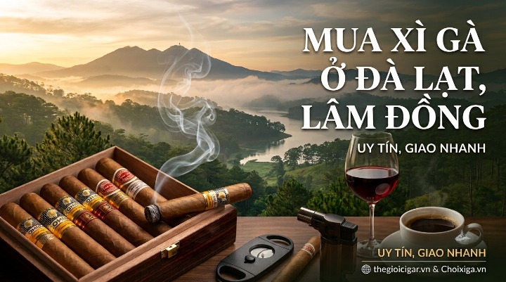 Mua Xì Gà Ở Đà Lạt Lâm Đồng - Top Địa Chỉ Chính Hãng Giao Nhanh