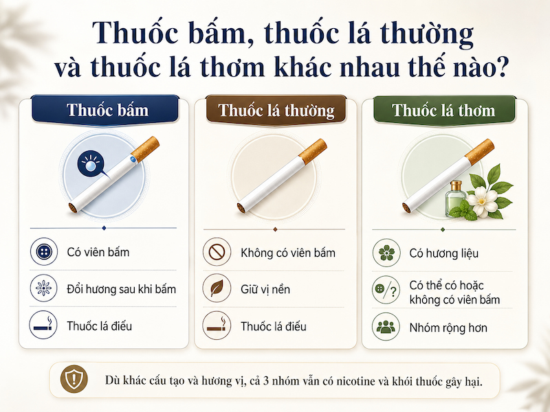 So sánh thuốc bấm với thuốc lá thường và thuốc lá thơm