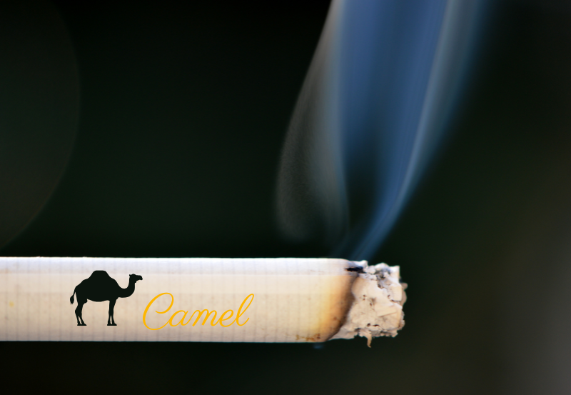 thuốc camel
