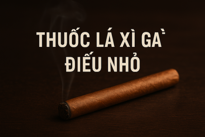Thuốc Lá Xì Gà Điếu Nhỏ – Đẳng Cấp Tinh Tế Cho Người Thưởng Thức Hiện Đại