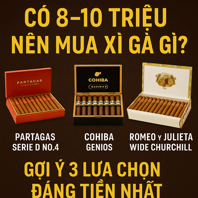 Có 8–10 Triệu Nên Mua Xì Gà Gì? Gợi Ý Partagas D4, Cohiba Genios, Romeo Wide Churchill