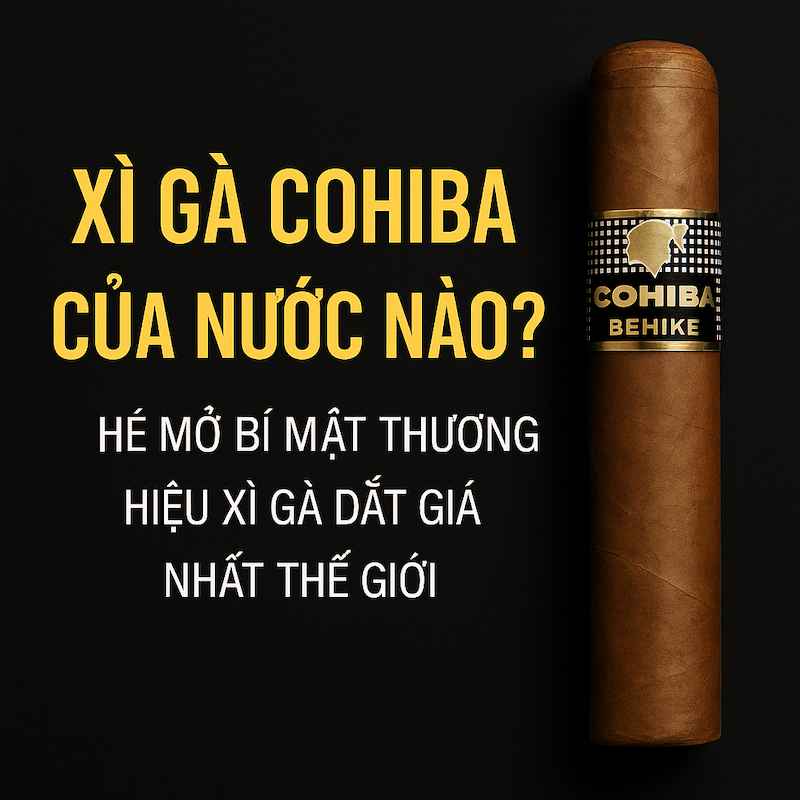 Xì Gà Cohiba Của Nước Nào? Giải Mã Thương Hiệu Xì Gà Đỉnh Cao Cuba