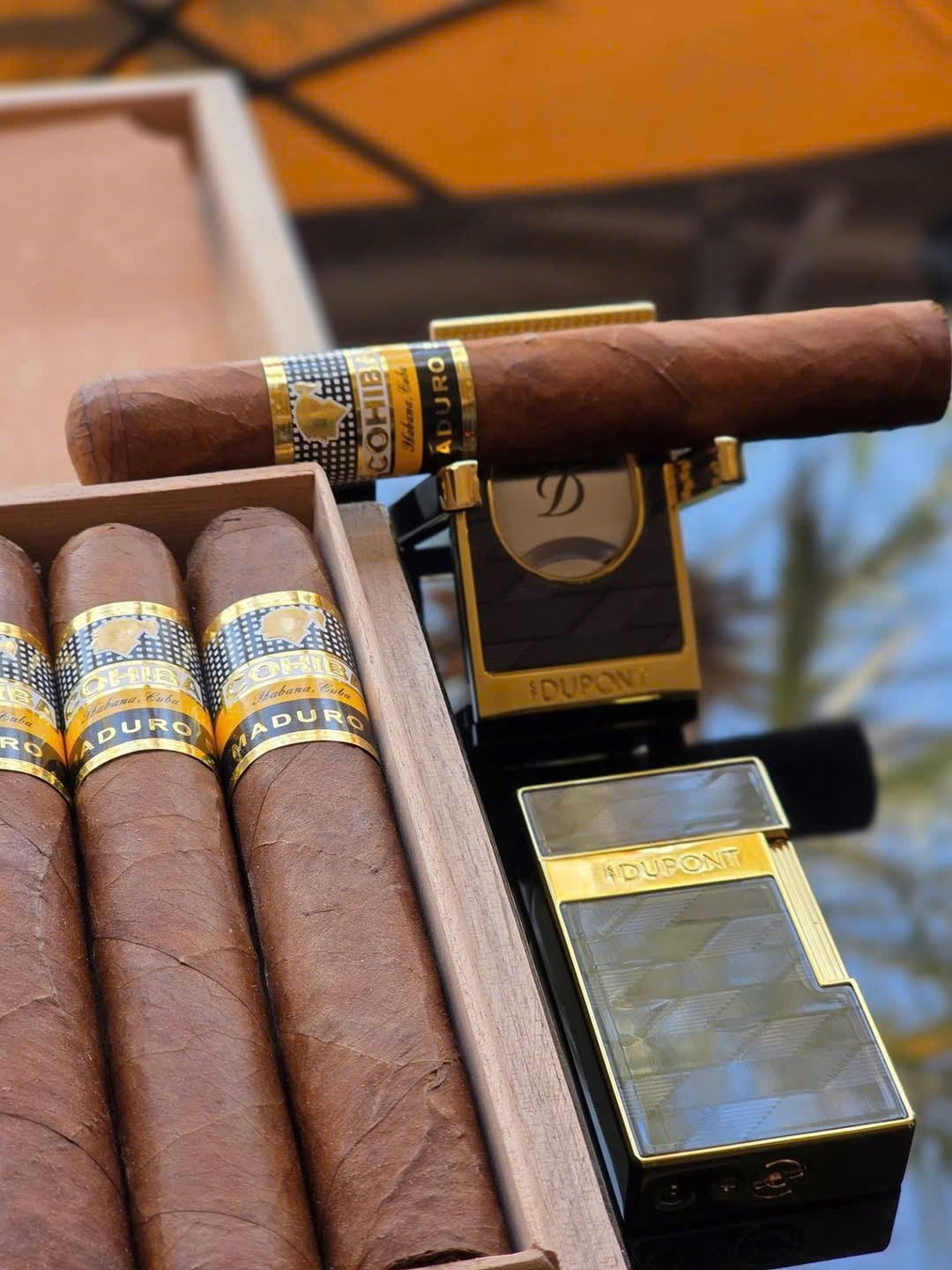 Cohiba Maduro 5 Giá Bao Nhiêu? | Báu Vật Cigar Cuba Chính Hãng 2025