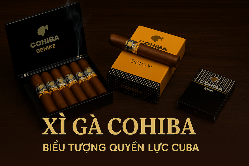 Cigar Cohiba Siglo VI – Đỉnh Cao Hương Vị Cigar Cuba Chính Hãng | Giá, Hộp & Phụ Kiện Cohiba 2025