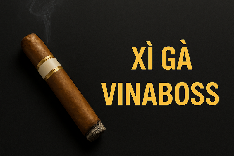 Xì Gà Vinaboss – Thương Hiệu Cigar Uy Tín Tại Việt Nam